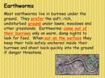 Note Making – Earthworms