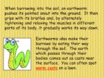 Note Making – Earthworms