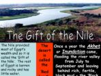 Gift of the Nile – Papyrus