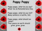 Remembrance – Story of the Poppy