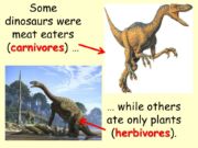 Dinosaurs Discovery PowerPoint to download for ks1 or ks2 topic on