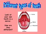Teeth & Eating Pack