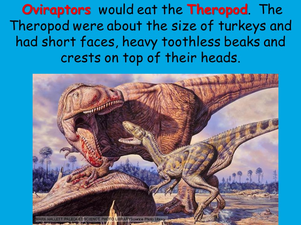 Dinosaurs – The Meat Eaters