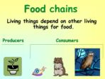 Food Chains Quiz