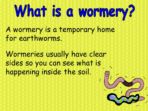 Writing Instructions – Making A Wormery