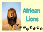 Lions and Their Habitats