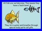 Life Cycle of Fish