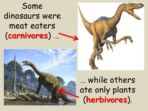 Dinosaurs – For More Able Readers