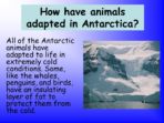 Habitats – Antarctica