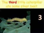 Ten Little Caterpillars