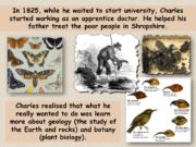 theory of evolution charles darwin ks2