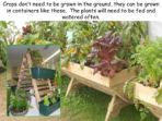 Growing your own Food