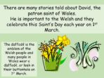 Patron Saint of Wales – St David’s Day