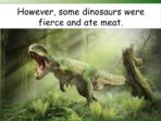 Dinosaur Mystery