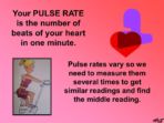 Pulse Rates
