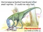 Dinosaurs – For More Able Readers