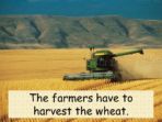 Harvest and Thanksgiving