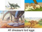 Dinosaurs – For Early Readers