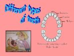 Teeth & Eating Pack