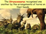 Dinosaurs – Plant Eaters