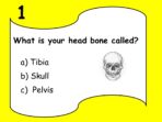 Human Skeleton Quiz