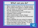 International Day of Peace 2026